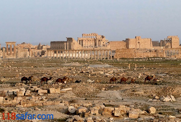 باقیمانده ای از تاریخ در پالمیرا!