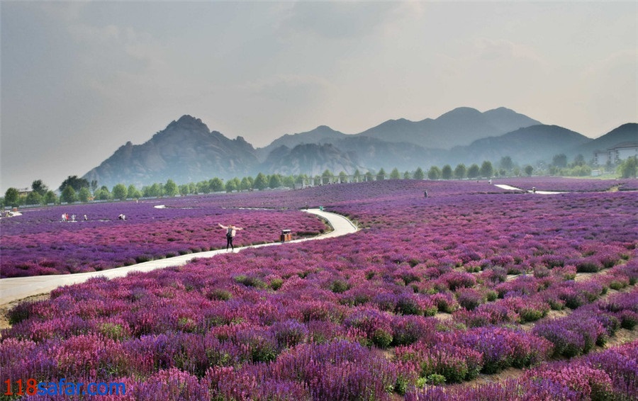 اسطوخودوس؛ جاذبه ای برای گردشگری