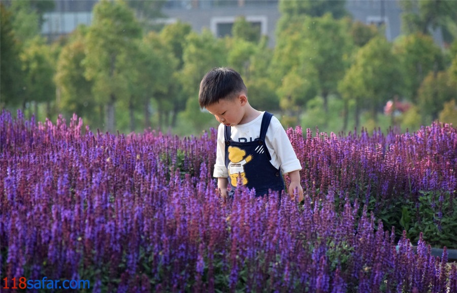 اسطوخودوس؛ جاذبه ای برای گردشگری