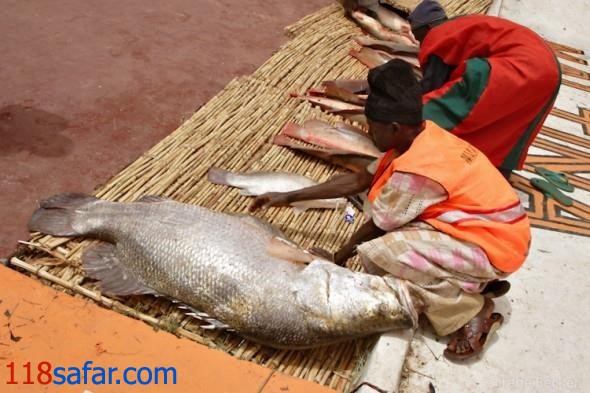 کارناوال ماهیگیری آرگونگوی نیجریه