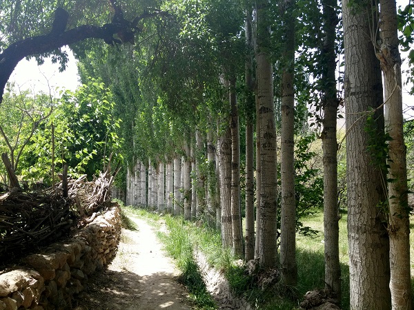 ساده و تازه به میزبانی برزُک